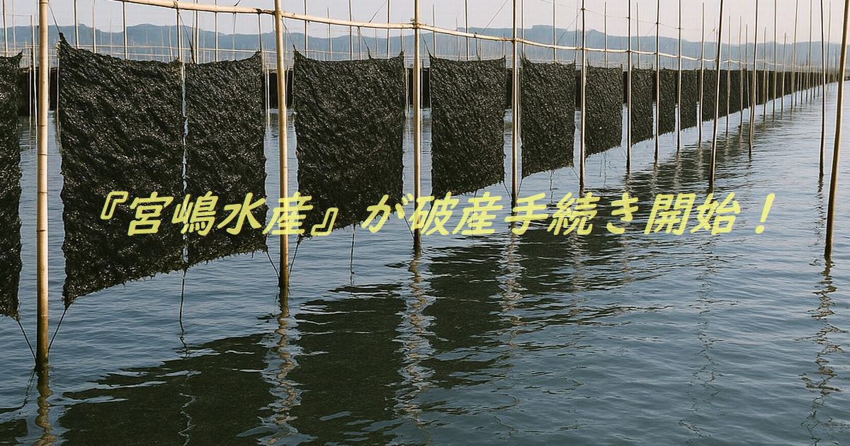 海苔養殖業の『宮嶋水産』が破産手続き開始!気候変動と借入過多が直撃か 海苔養殖場の風景、竹の支柱に干された海苔が並ぶ静かな海面