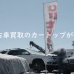 中古車販売店が映る風景